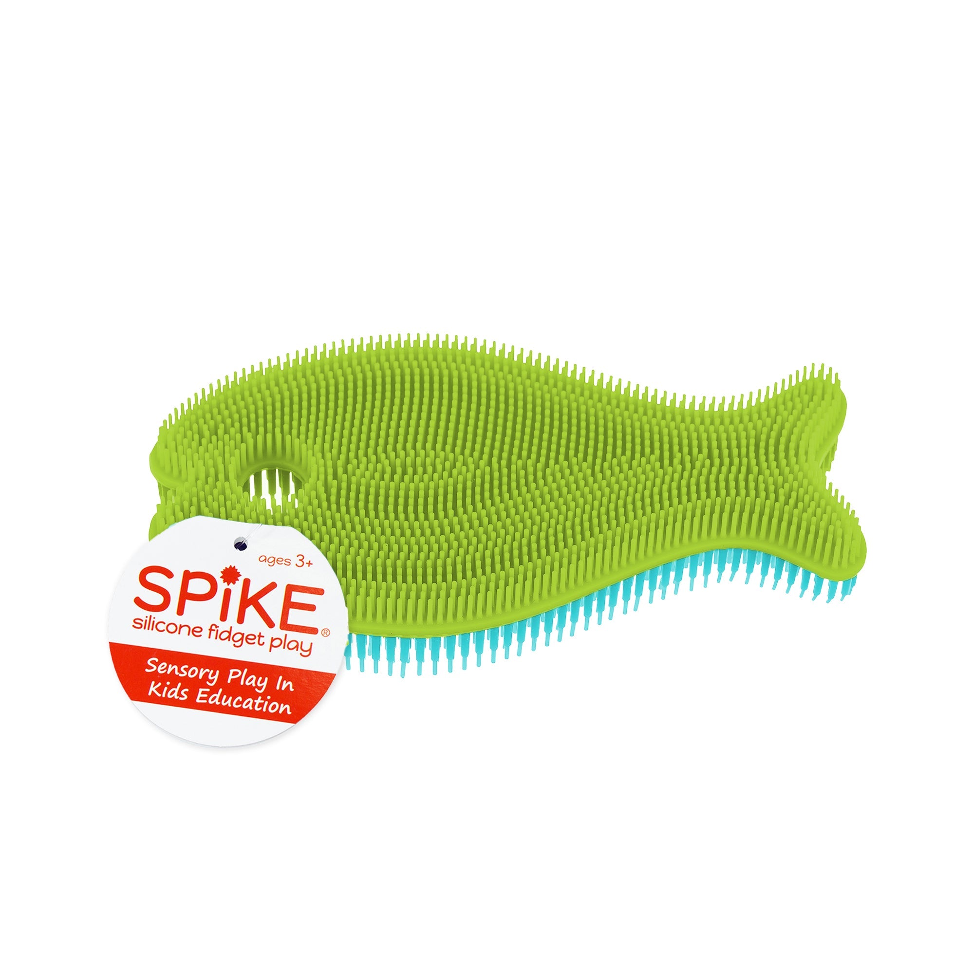 Sensory Fish - green (hangtag)