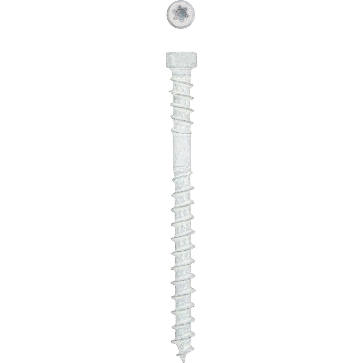 SPAX #8 x 2 In. T10 Plus Cylindrical Head HCR (Exterior Rated) White Trim Screw (100-Count)