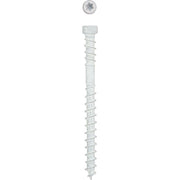 SPAX #8 x 2 In. T10 Plus Cylindrical Head HCR (Exterior Rated) White Trim Screw (100-Count)