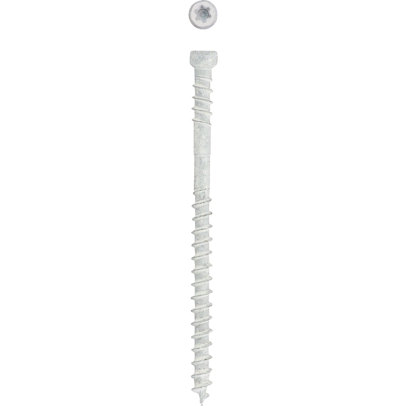 SPAX #8 x 2-1/2 In. T10 Plus Cylindrical Head HCR (Exterior Rated) White Trim Screw (100-Count)
