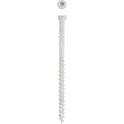 SPAX #8 x 2-1/2 In. T10 Plus Cylindrical Head HCR (Exterior Rated) White Trim Screw (100-Count)