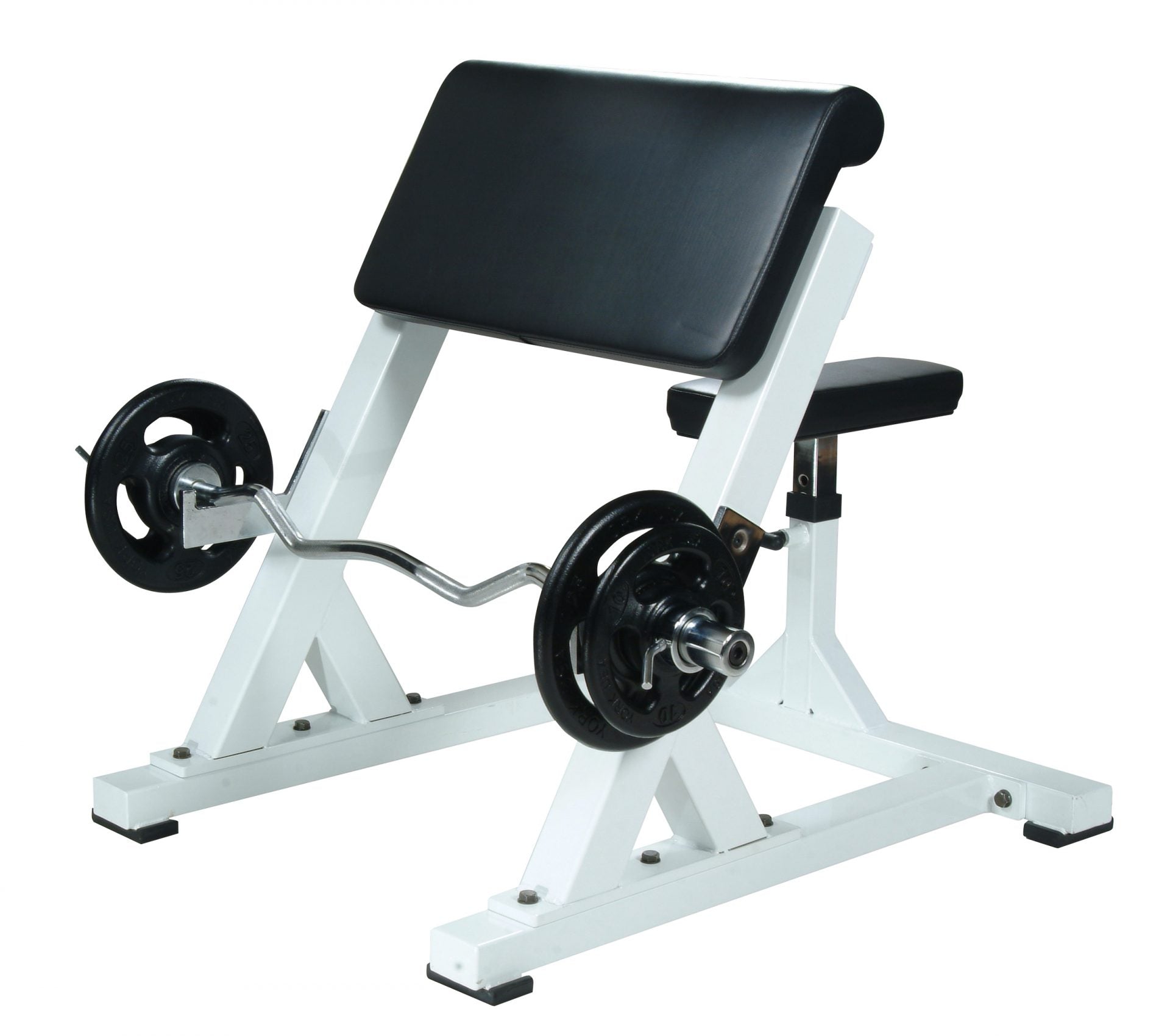 STS Preacher Curl - White