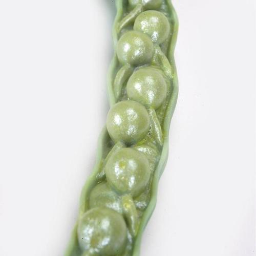 Canola Blossom (Brassica napus ssp. oleifera), Model