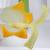 Chamomile Blossom (Matricaria chamomilla) Model
