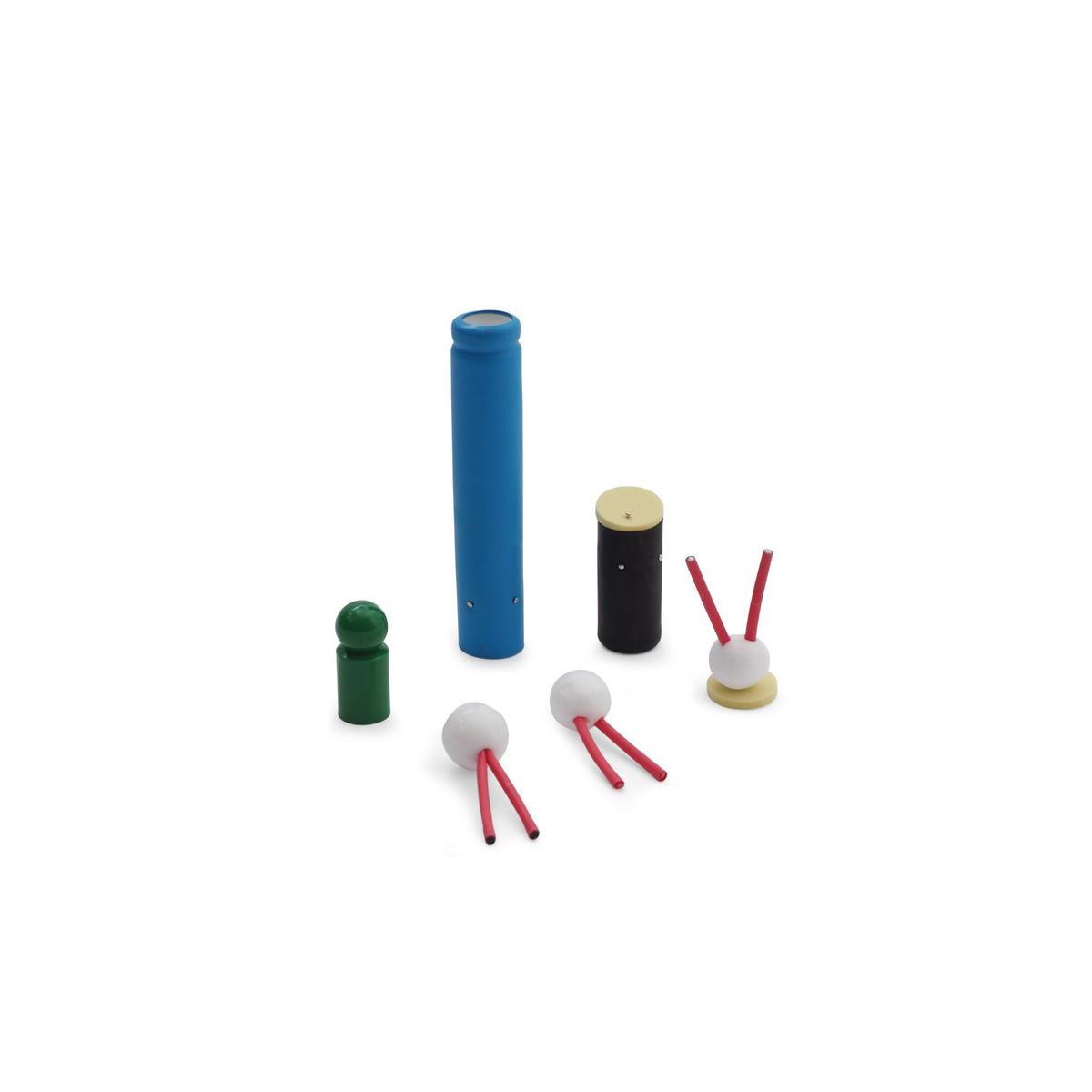 Biomembrane model