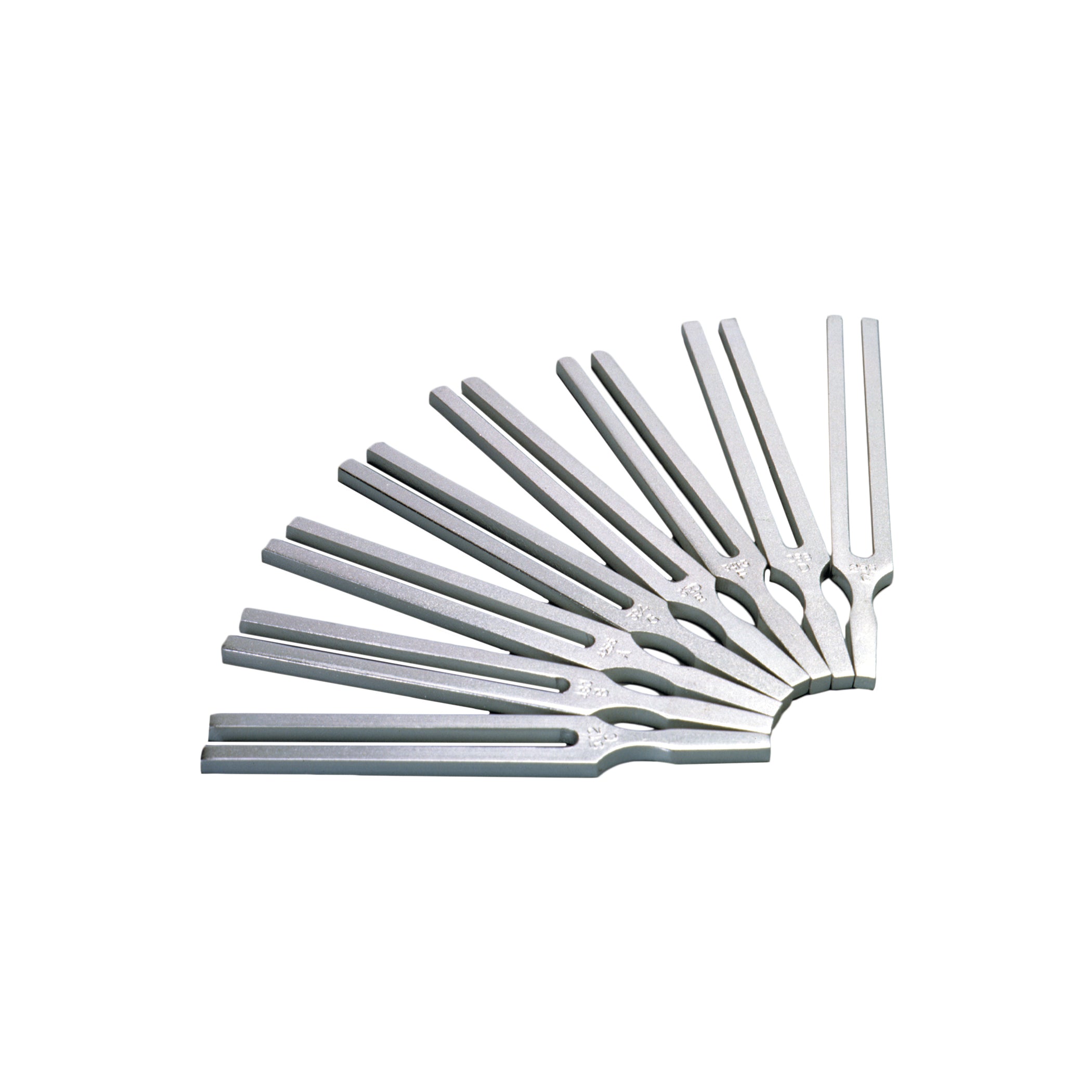 United Scientific® Tuning Fork, 100 Hz.