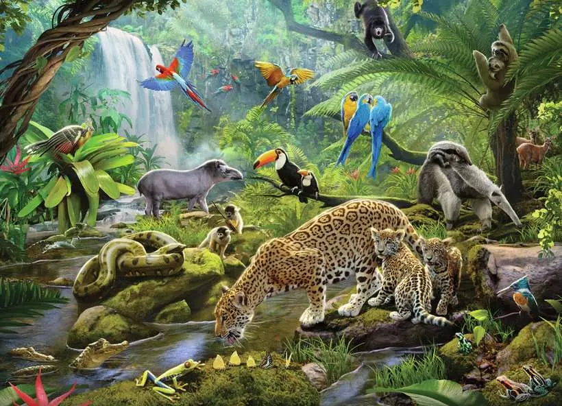 Rainforest Animals - Children's Puzzle, 60 Pieces