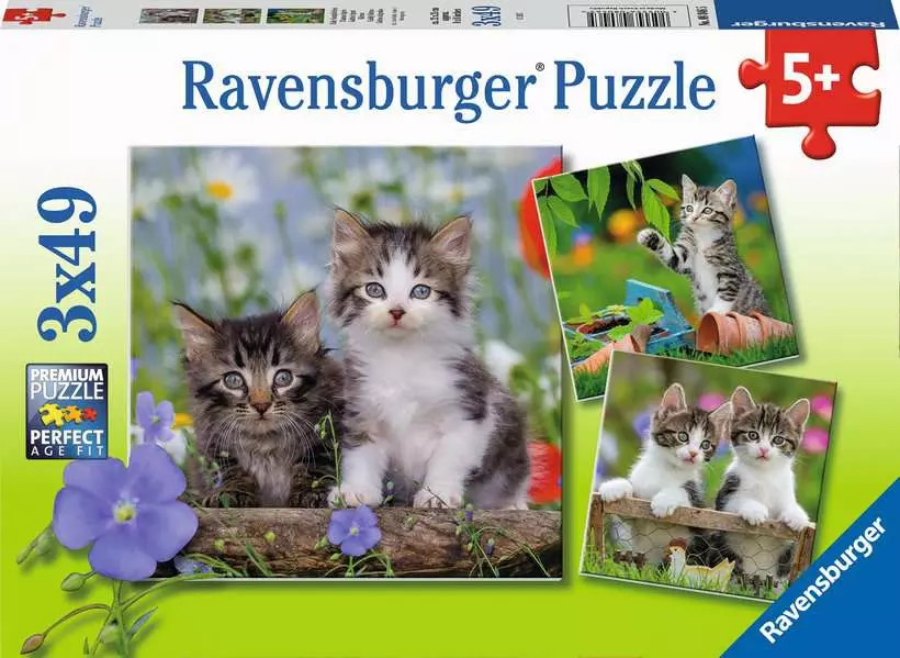 Tiger Kittens - Children's Puzzle, 3 Puzzles x 49 Pieces
