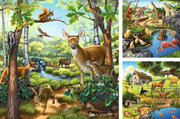 Forest/Zoo/Domestic Animals - Children's Puzzle, 3 Puzzles x 49 Pieces