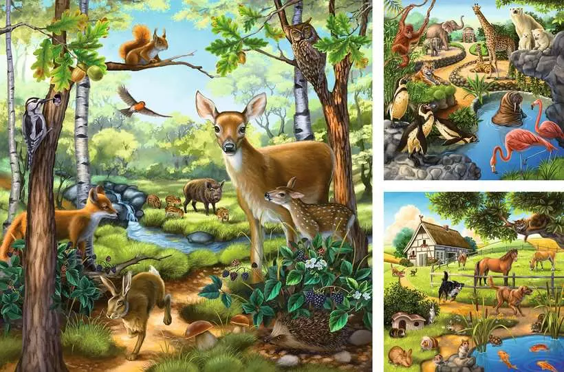 Forest/Zoo/Domestic Animals - Children's Puzzle, 3 Puzzles x 49 Pieces