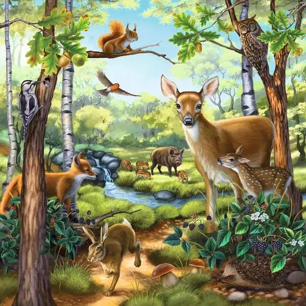 Forest/Zoo/Domestic Animals - Children's Puzzle, 3 Puzzles x 49 Pieces
