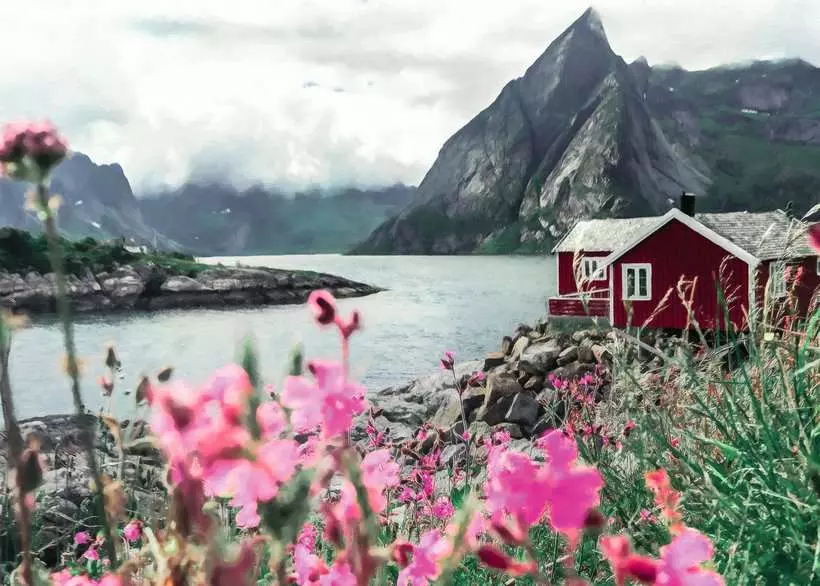 Scandinavian Places: Reine Lofoten, Norway - Standard Adult Puzzle, 1000 Pieces