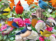 Garden Birds - Standard Adult Puzzle, 500 Pieces