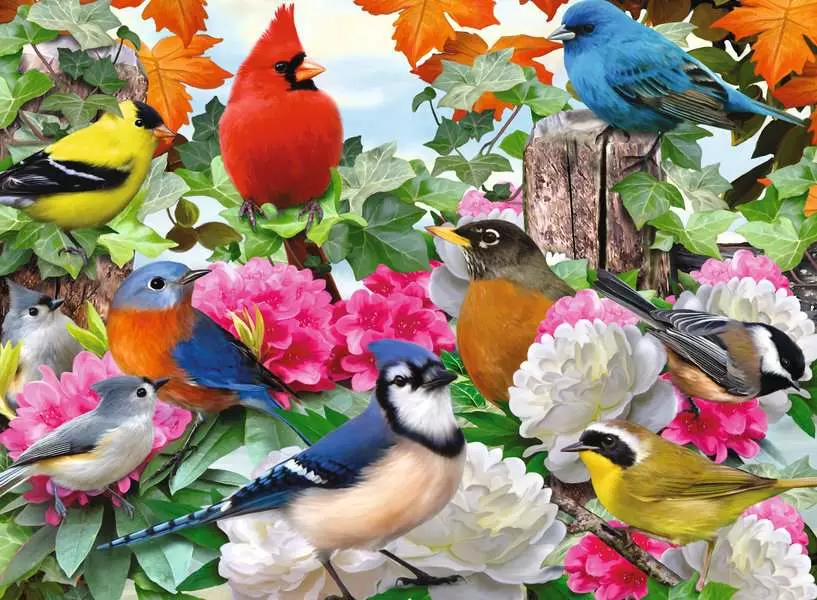 Garden Birds - Standard Adult Puzzle, 500 Pieces