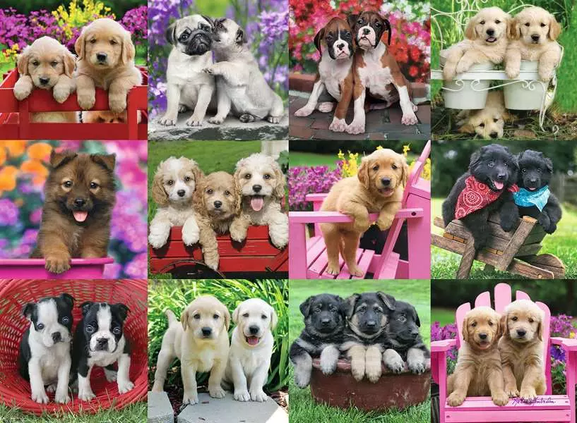 Puppy Pals - Standard Adult Puzzle, 500 Pieces