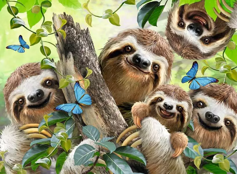 Sloth Selfie - Standard Adult Puzzle, 500 Pieces