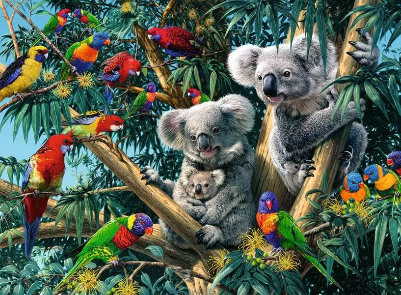 Koalas in a Tree - Standard Adult Puzzle, 500 Pieces