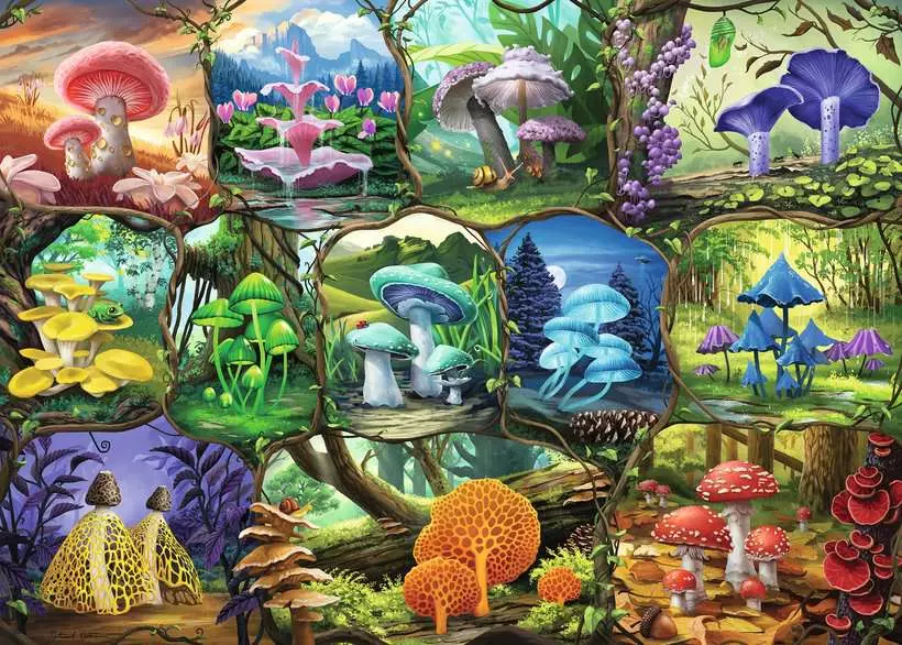 Beautiful Mushrooms - Standard Adult Puzzle, 1000 Pieces