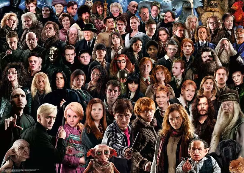 Harry Potter - Challenge, 1000 Pieces
