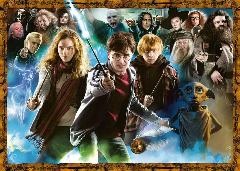 Magical Student: Harry Potter - Standard Adult Puzzle, 1000 Pieces