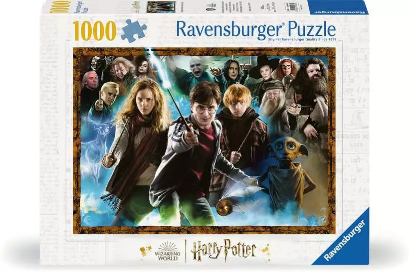 Magical Student: Harry Potter - Standard Adult Puzzle, 1000 Pieces