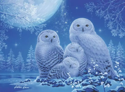 Glow in the Dark: Owls in the Moonlight - Star Line, 500 Pieces