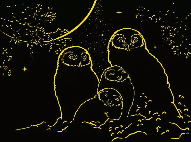 Glow in the Dark: Owls in the Moonlight - Star Line, 500 Pieces