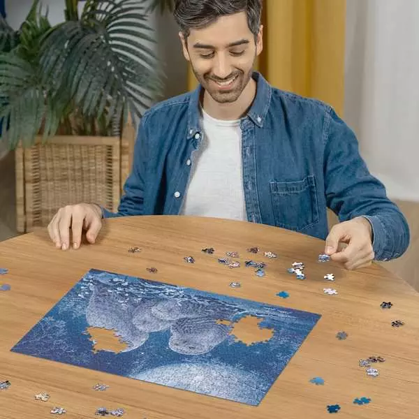 Glow in the Dark: Owls in the Moonlight - Star Line, 500 Pieces