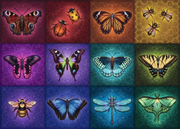 Winged Things - Standard Adult Puzzle, 1000 Pieces