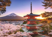 Mount Fuji Cherry Blossom View - Standard Adult Puzzle, 1000 Pieces
