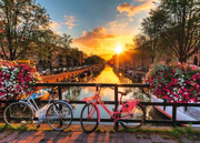 Bicycles in Amsterdam - Standard Adult Puzzle, 1000 Pieces