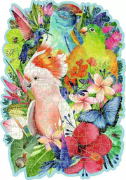 Beautiful Birds - Wooden Puzzles, 300 Pieces