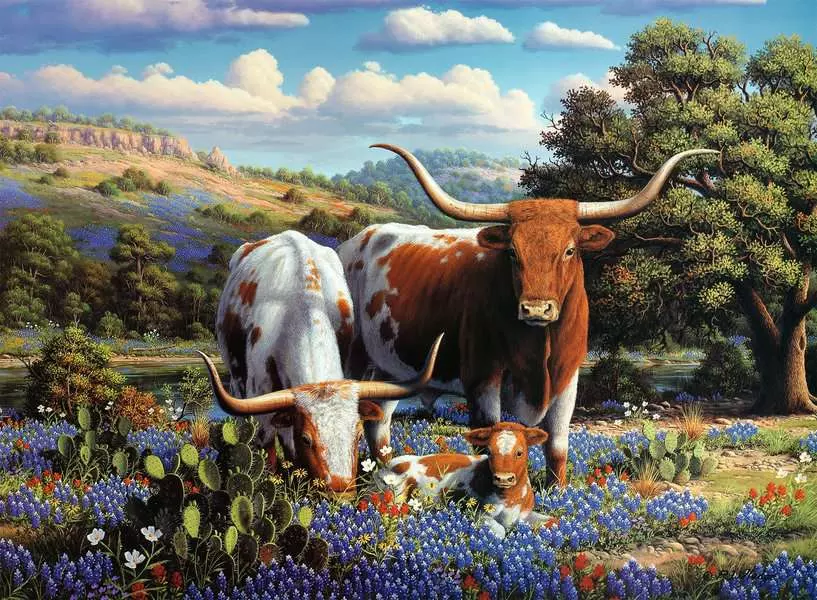 Loving Longhorns - Standard Adult Puzzle, 500 Pieces