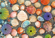By the Seashore - Puzzle Moment, 300 Pieces