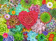 Succulent Love - Standard Adult Puzzle, 500 Pieces
