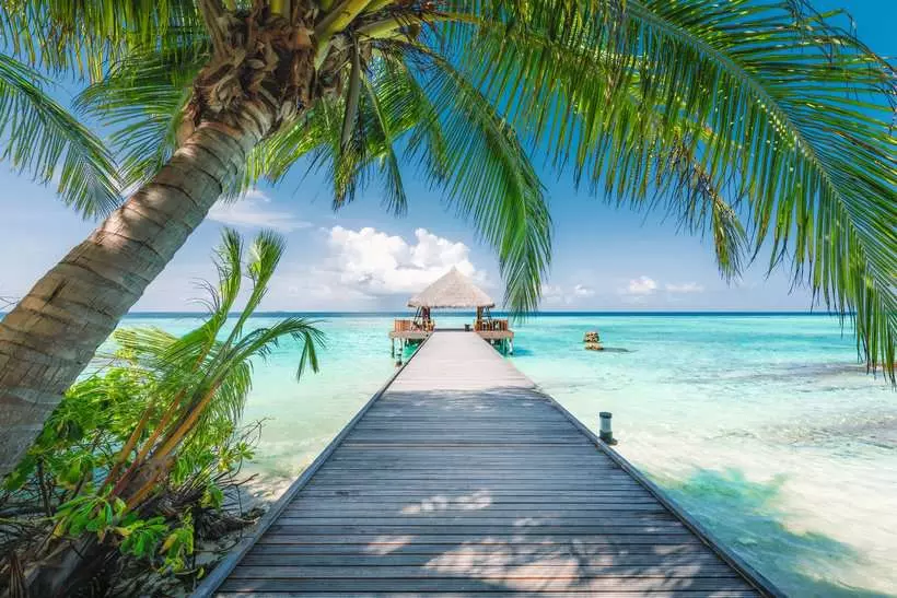 Dream Beach in the Maldives - Standard Adult Puzzle, 4000 Pieces