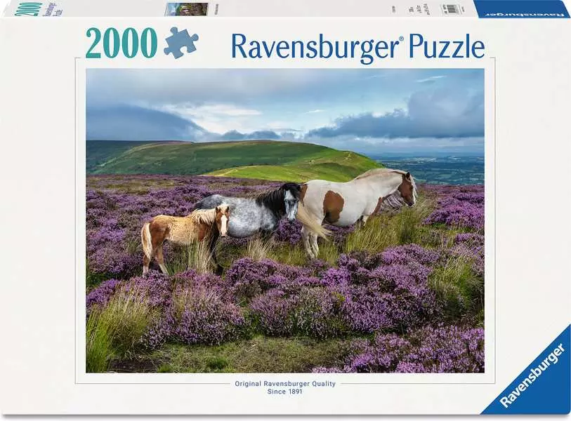 Wild Horses in the Heather - Standard Adult Puzzle, 2000 Pieces
