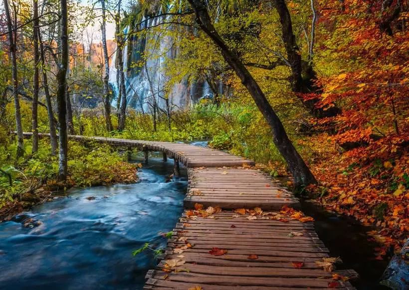 Beautiful Walkways: Autumnal Forest Path - Puzzle Highlights, 1000 Pieces