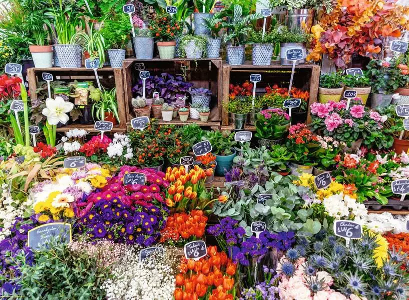 Colorful Markets: Flower Market, France - Puzzle Highlights, 500 Pieces