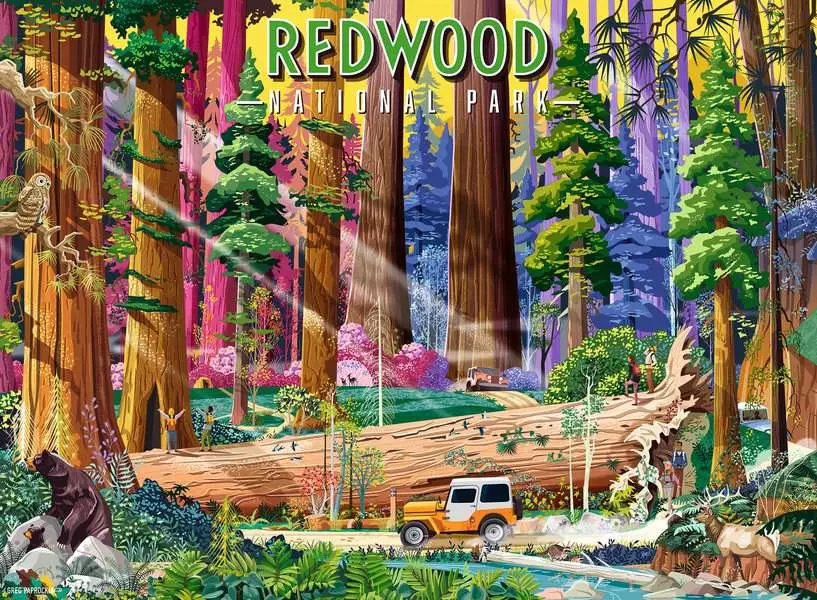 Redwood National Park - Standard Adult Puzzle, 500 Pieces