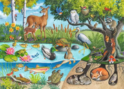 Animals Above and Below - Children's Puzzle, 60 Pieces
