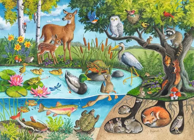 Animals Above and Below - Children's Puzzle, 60 Pieces