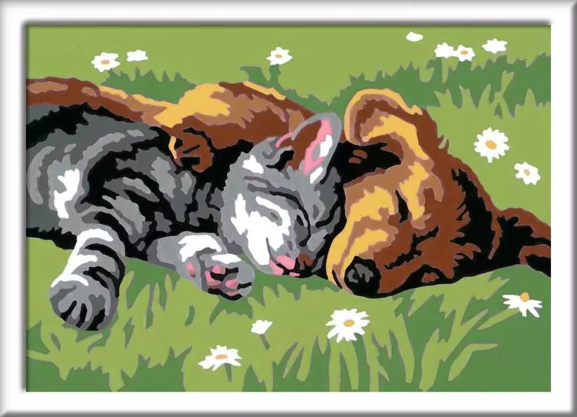 CreArt: Sleeping Cat and Dog - Painting By Numbers, 5 x 7