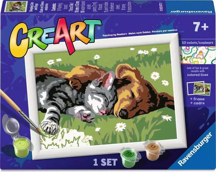 CreArt: Sleeping Cat and Dog - Painting By Numbers, 5 x 7