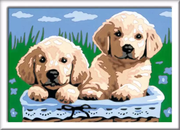 CreArt: Cute Puppies - Painting By Numbers, 5 x 7
