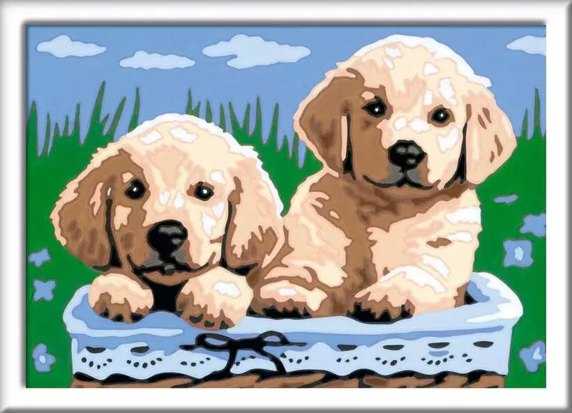 CreArt: Cute Puppies - Painting By Numbers, 5 x 7