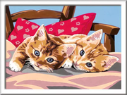 CreArt: Two Cuddly Cats - Painting By Numbers, 7 x 10