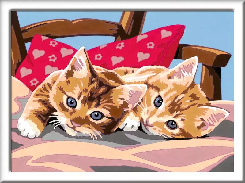 CreArt: Two Cuddly Cats - Painting By Numbers, 7 x 10