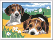 CreArt: Beagle Puppies - Painting By Numbers, 7 x 10