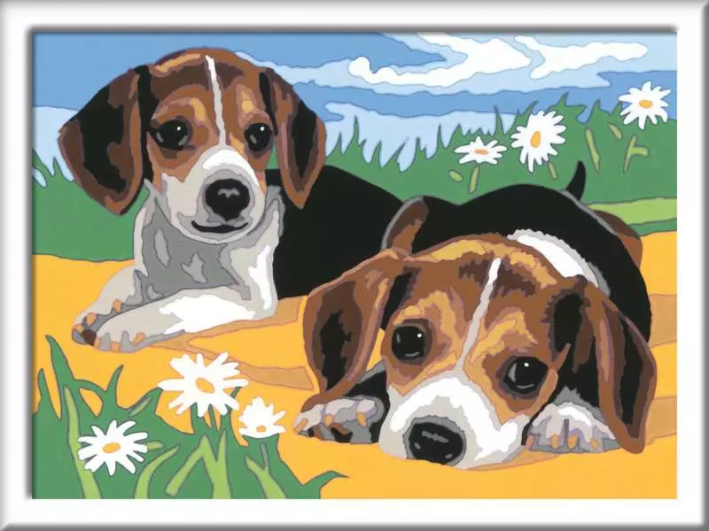 CreArt: Beagle Puppies - Painting By Numbers, 7 x 10